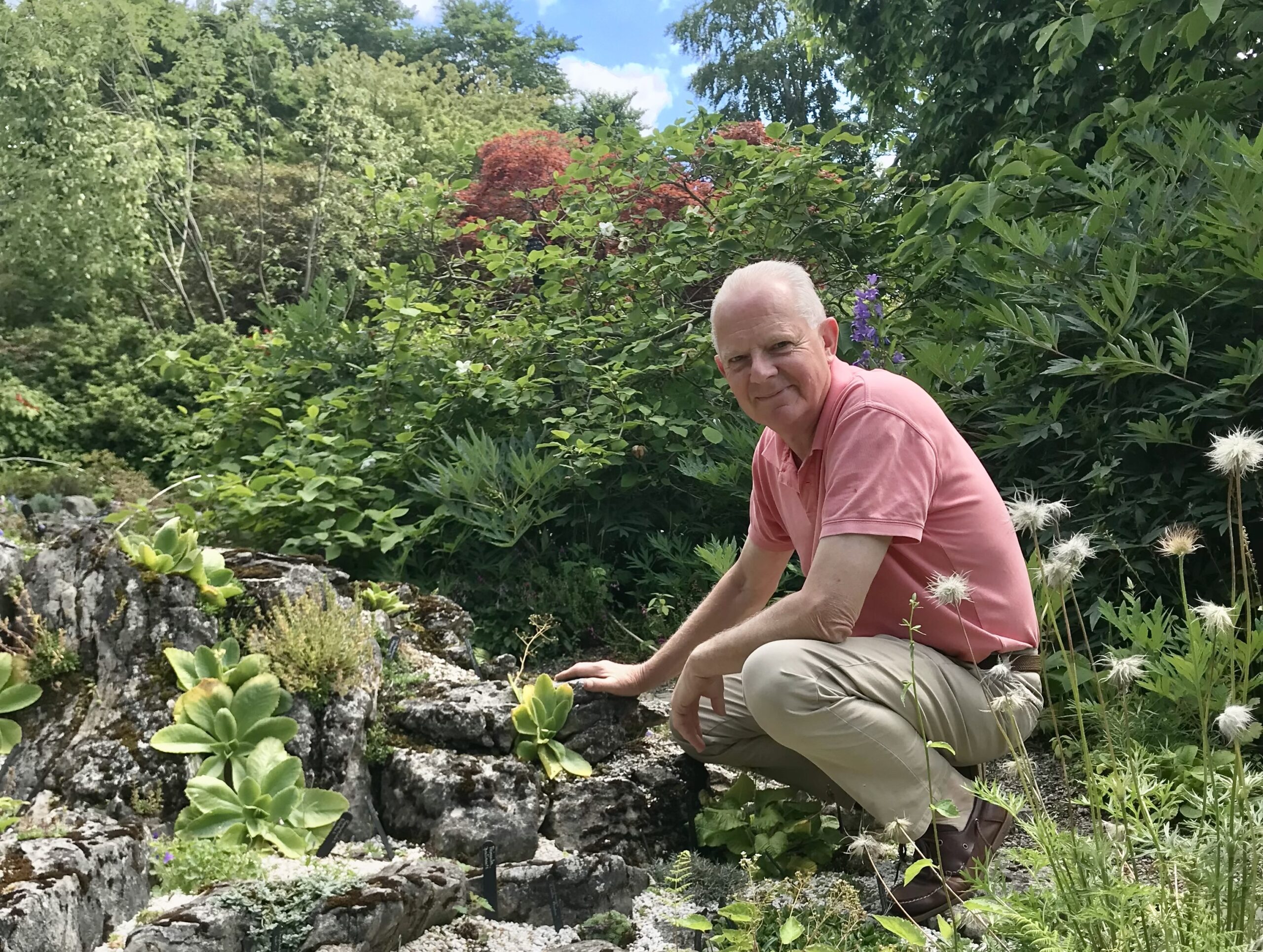 A man in khaki trousers and a pink shirt crouches atop limestone amid a rock garden, surrounded by greenery and plants.